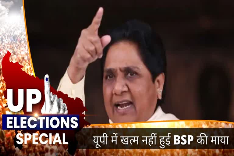 BSP candidate in up election