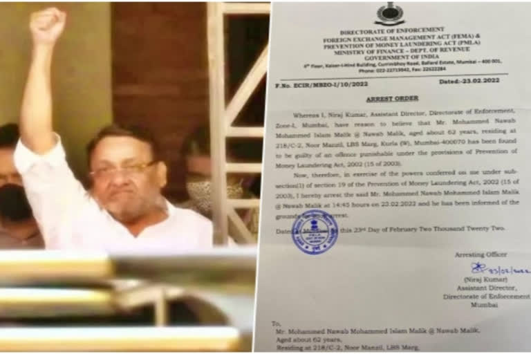 ED arrest order says Nawab Malik 'guilty of offence' under PMLA