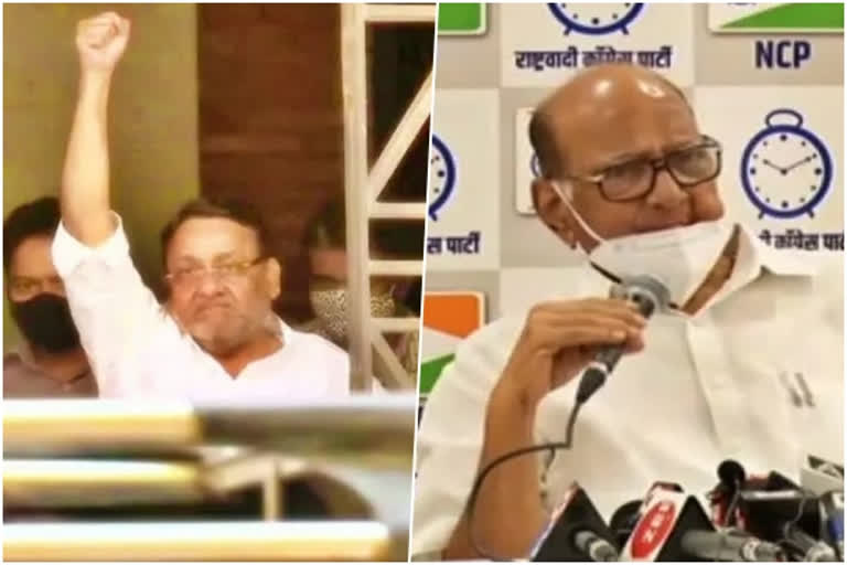 Nawab Malik arrest: Sharad Pawar calls emergency NCP meeting, will also meet CM Uddhav Thackeray