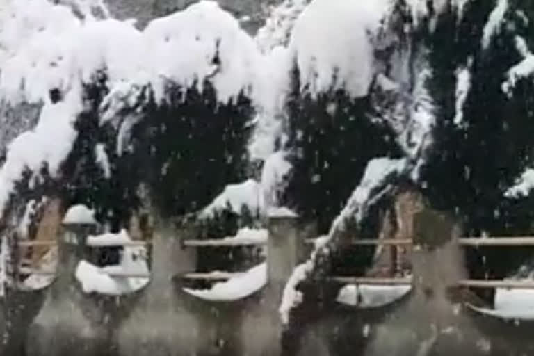 Heavy Snowfall: All flights from Srinagar Airport cancelled; life comes to a standstill in Jammu & Kashmir