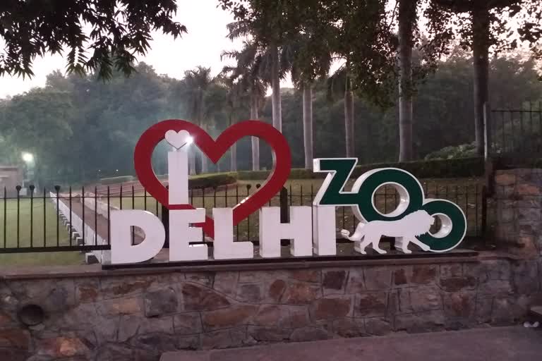 Delhi Zoo will open for tourists from March covid guidelines will have to be followed