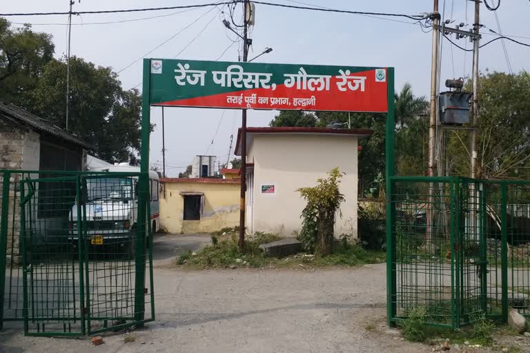 Haldwani