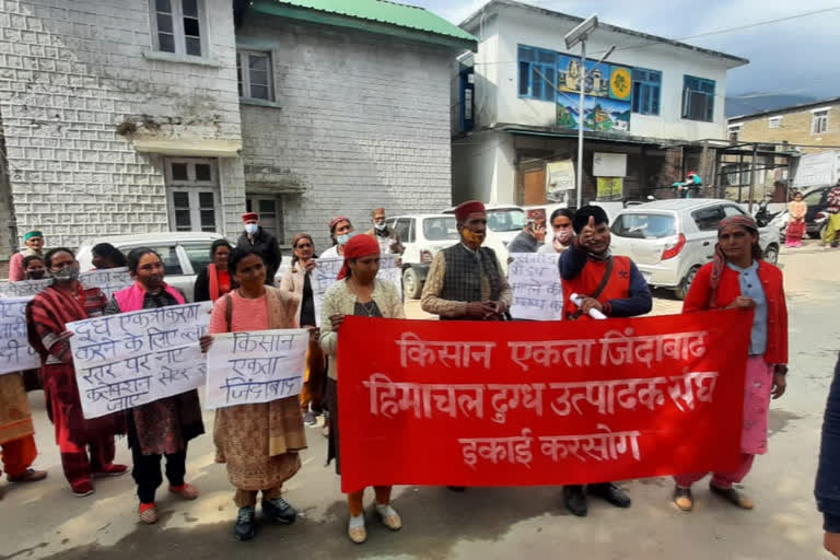 Milk producers protest in Karsog