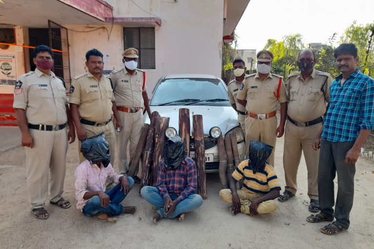 Redsandal Seized in Chittoor