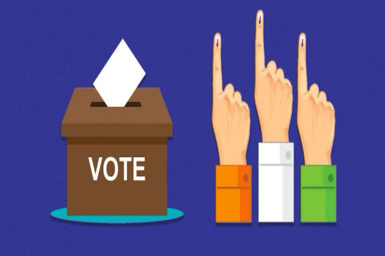 voter lists of bhubaneswar municipal corporation election