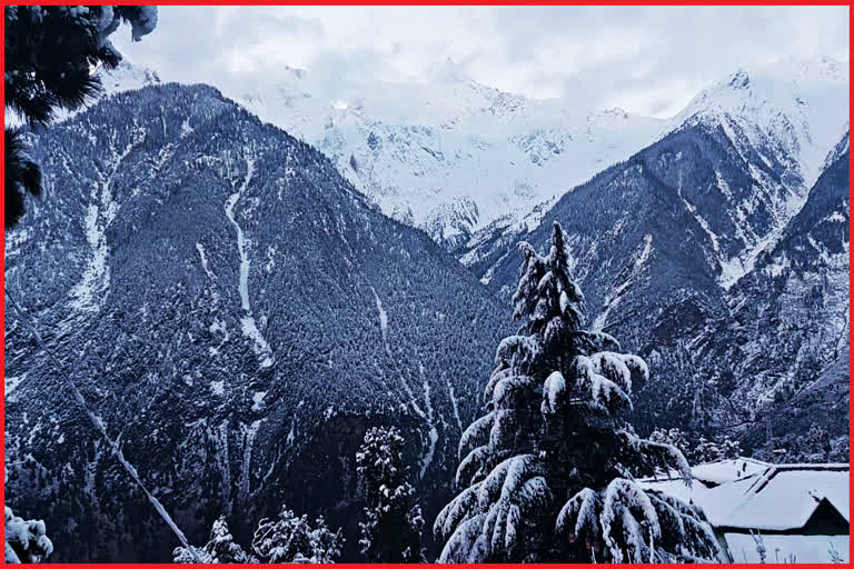 kinnaur police rescued twelve tourist