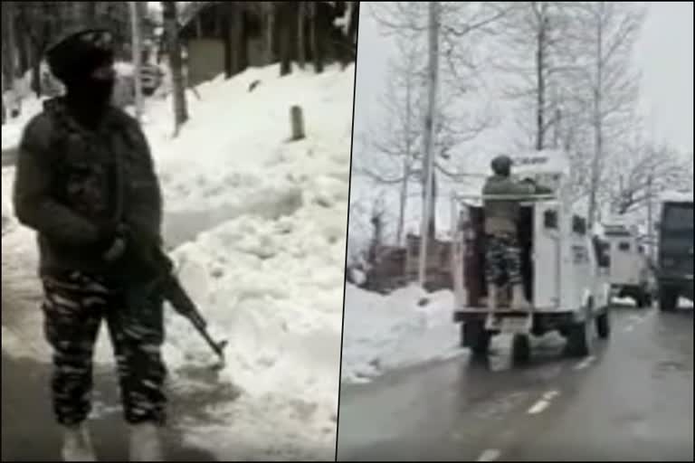 Two Militants killed in Amshipora Encounter  Kashmir todays news  Amshipora Encounter  കശ്‌മീരില്‍ സുരക്ഷാസേനയുമായി ഏറ്റമുട്ടലില്‍ ഭീകര്‍ കൊല്ലപ്പെട്ടു  ദക്ഷിണ കശ്‌മീരിലെ ഷോപിയാനില്‍ ആക്രമണം  കശ്‌മീര്‍ ഇന്നത്തെ വാര്‍ത്ത