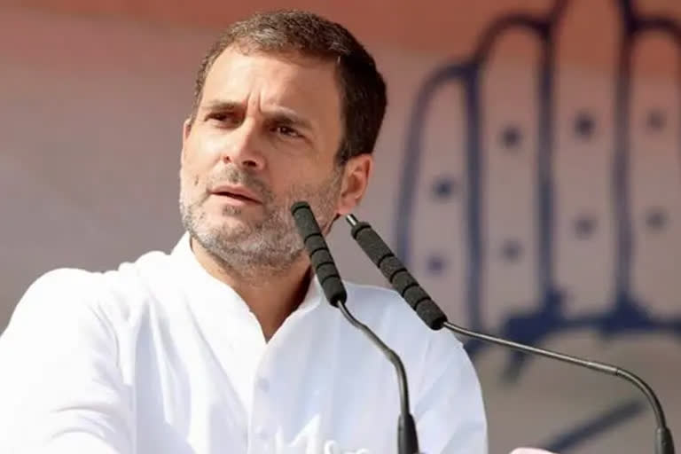 Visuals of Indian students in bunkers disturbing: Rahul