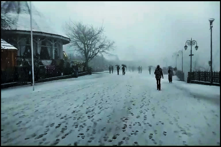 SNOWFALL IN SHIMLA