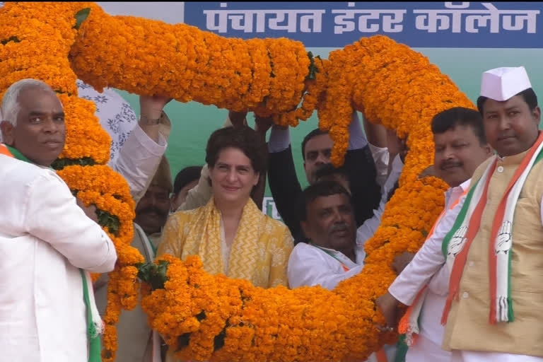 r Priyanka Gandhi Vadra on Friday said if her party comes to power in UP Chhattisgarh model to be adopted  to solve stray cattle issue