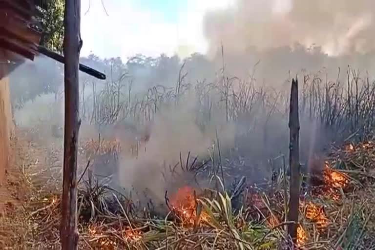 40-acres-of-sugar-cane-burnt-in-karawara