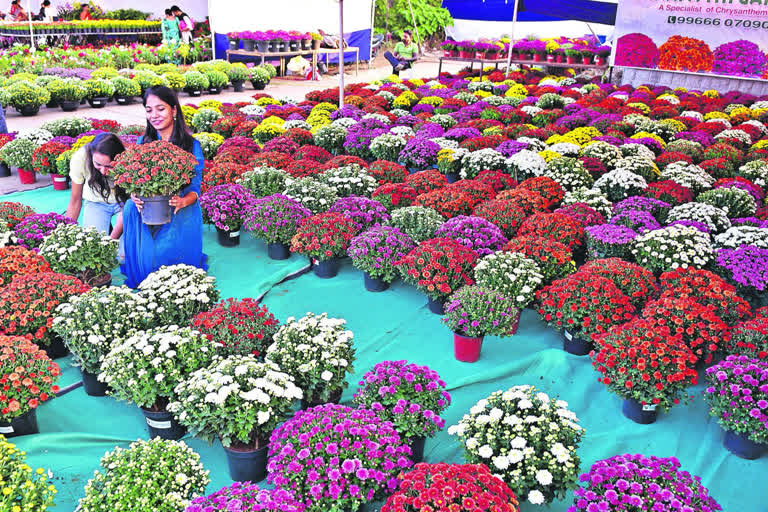 HUGE RESPONSE TO GRAND NURSERY FAIR IN HYDERABAD