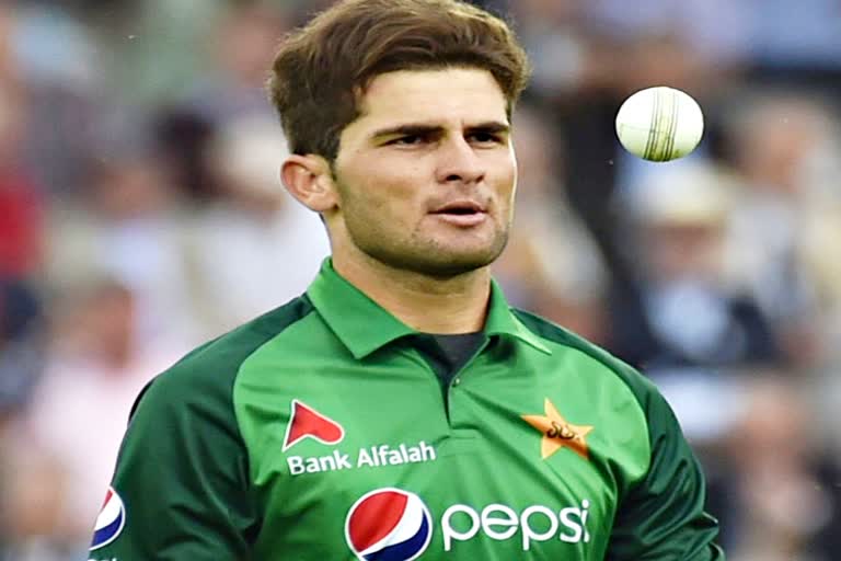 Cricket news  Pakistan Super League 2022  PSL 2022  Shaheen Afridi  Sports News  pakistan Cricket Board  टी-20 लीग  शाहीन अफरीदी  पाकिस्तान सुपर लीग