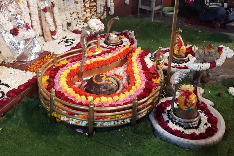 Mahashivratri in Bhilwara