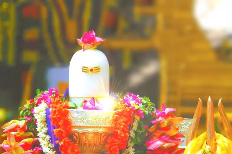 Shivaratri Celebrations in telangana temples