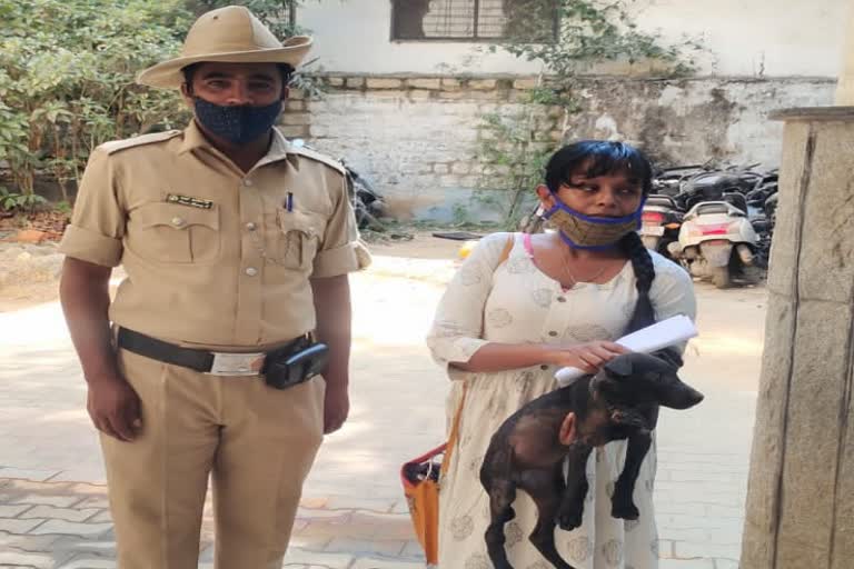 Koramangala police search for missing two months street dog and handed over to owner