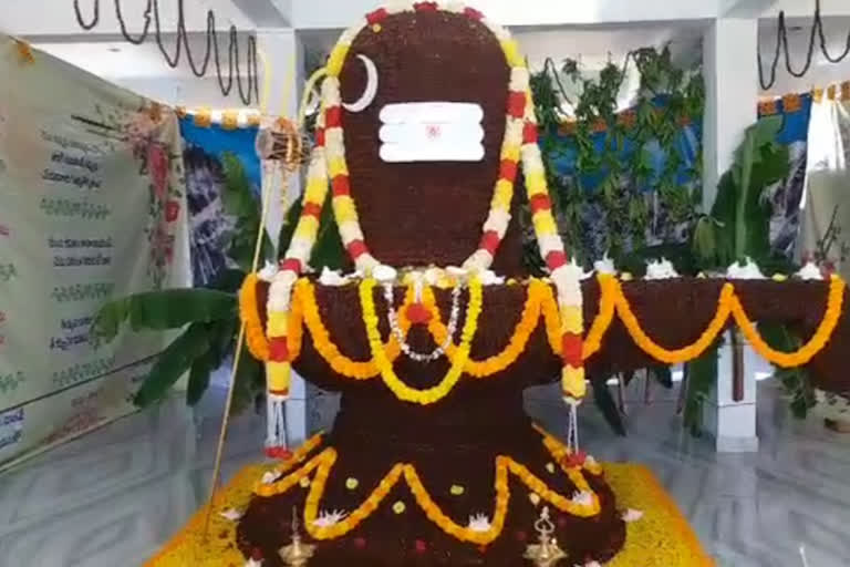 rudraksha shiva lingam