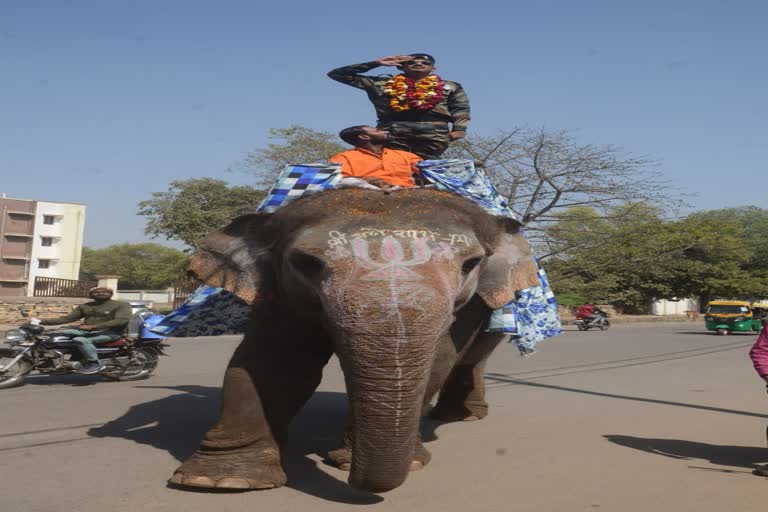 military husband in gwalior on elephant