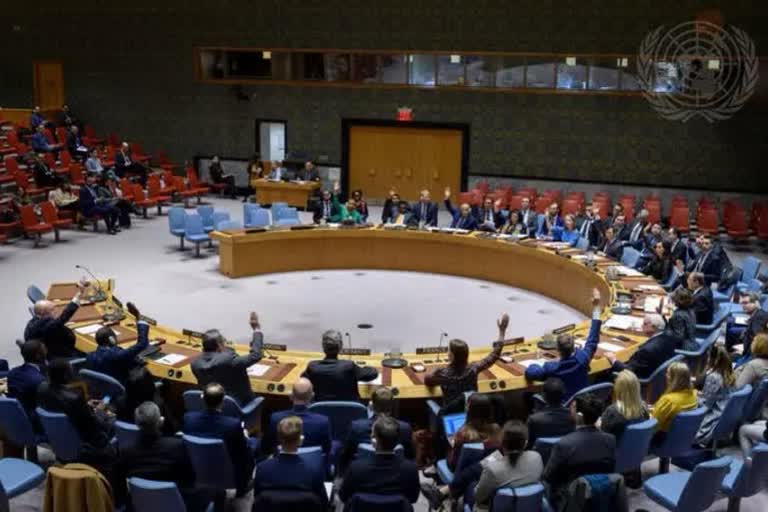 Ukraine urge UN to reconsider Russia permanent membership in UN Security Council