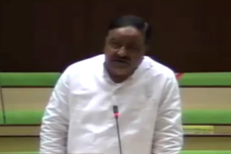 BJP MLA on contract workers in Budget debate