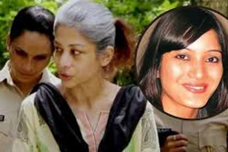 Sheena Bora Murder Case