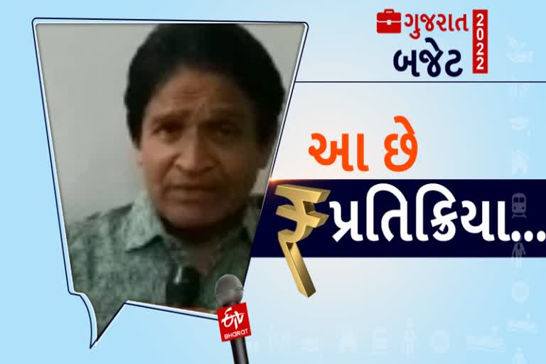 Junagadh Economist on Budget: સરકારે માત્ર રજૂ કરવા પૂરતું બજેટ રજૂ કર્યું, આમાં ઉપયોગી કંઈ નથી