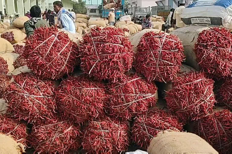 Mirchi prices in Enumamula market, mirchi costs