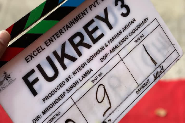 Fukrey 3