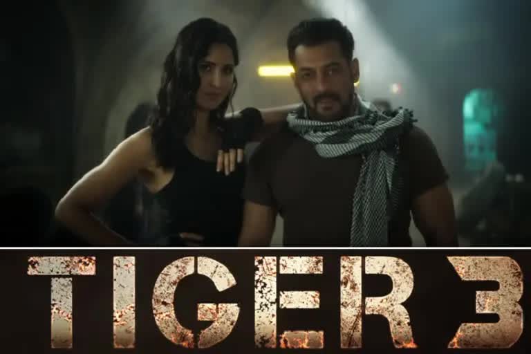 Tiger 3 Release Date: ઇદ પર સલમાન અને કૈટરીના કૈફ મચાવશે ધમાલ