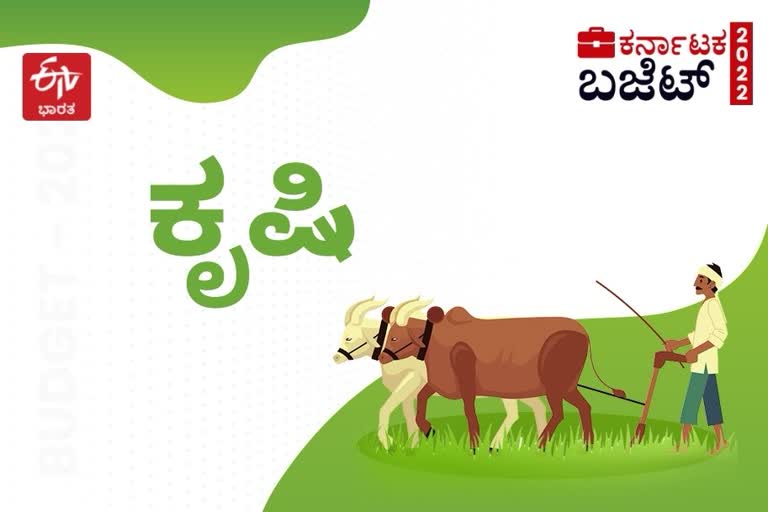 ಬಜೆಟ್​ನಲ್ಲಿ ಕೃಷಿ