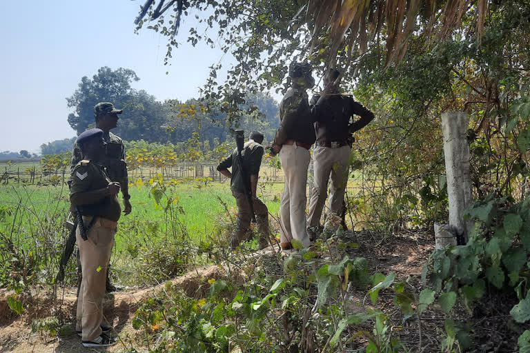 जमुई में पेड़ से लटका मिला युवक का शव