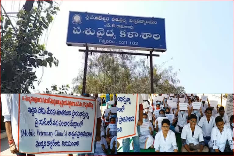 Veterinary students protest