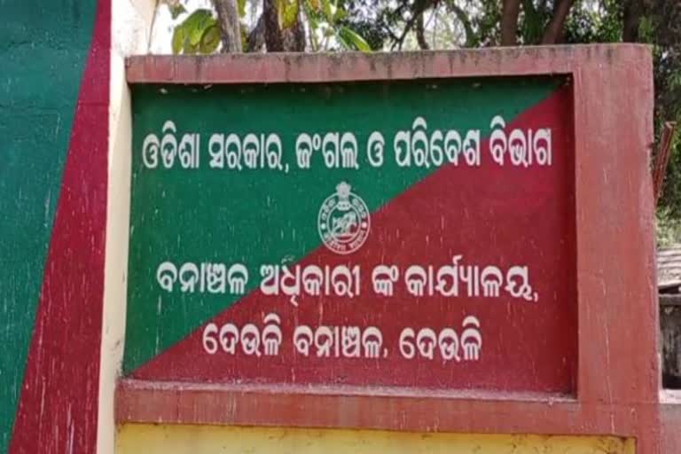 ଆହତ ହୋଇ ପଡ଼ି ରହିଥିଲା ହରିଣ, ବନବିଭାଗକୁ ହସ୍ତାନ୍ତର କଲେ ଖଡ଼ିଆଷୋଳ ଗ୍ରାମବାସୀ