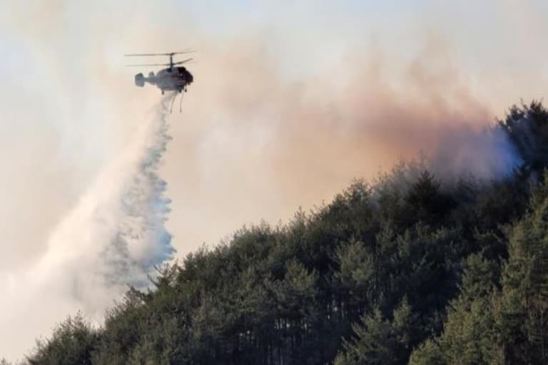 fire in South Korea