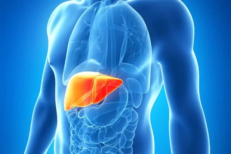 Fatty liver Problem: મોઢામાંથી દુર્ગંધ આવી એ સામાન્ય સમસ્યા નથી