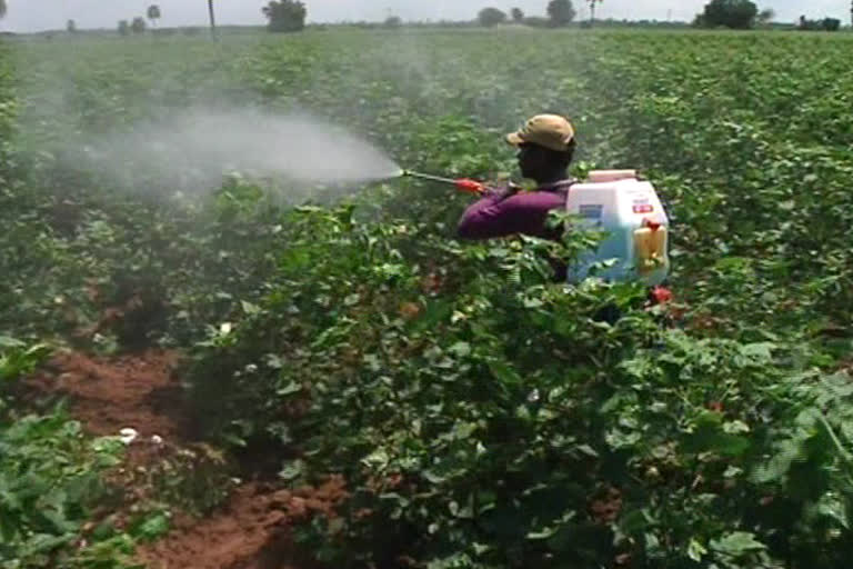 Chemicals usage in Fields