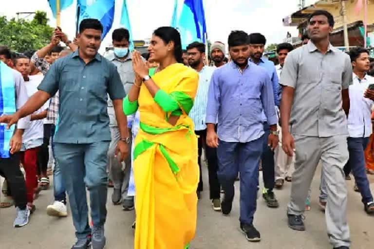 YS Sharmila Padayatra