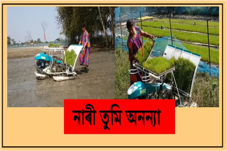 প্লেণ্টাৰ মেছিনেৰে কৃষিকৰ্ম কৰি পথ প্ৰদৰ্শক হ’ল ৰঙিয়াৰ এগৰাকী মহিলা