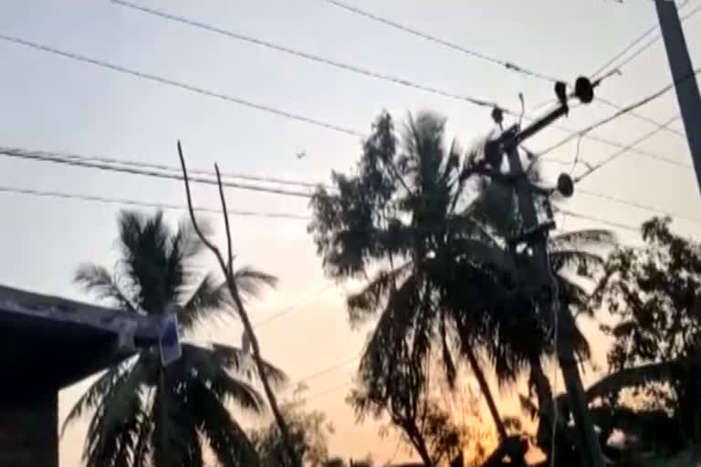 Electrical wires