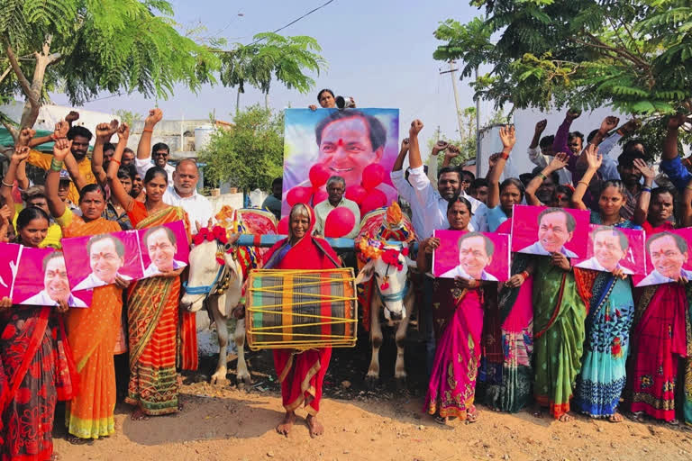 Mahila Bandhu Celebrations