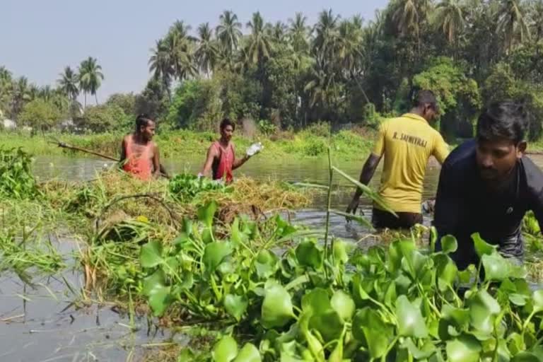 river cleaning campaign Pen Municipality