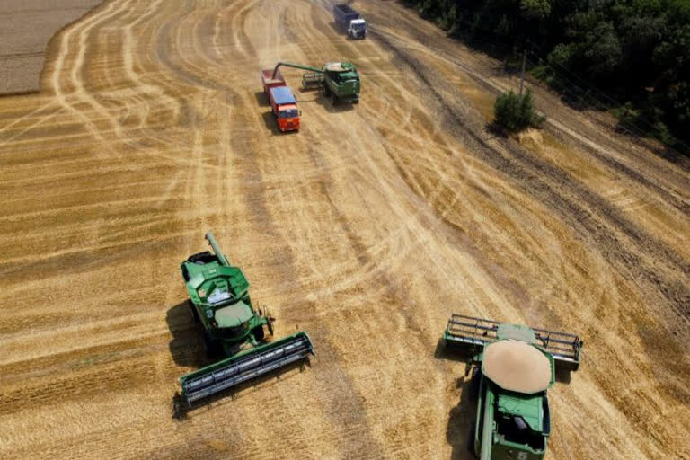 Ukrainian farmers have been forced to neglect their fields as millions flee, fight or try to stay alive