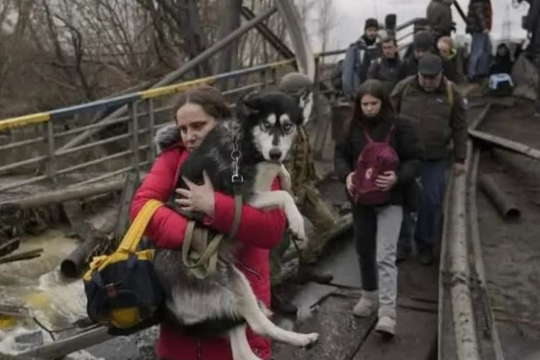 Russia Ukraine War temporary ceasefire declared in mariupol ukraine