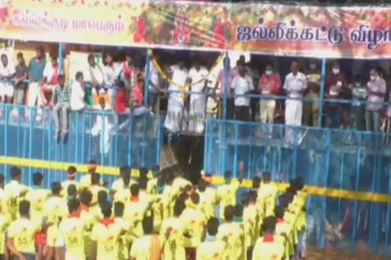 கல்லக்குடி ஜல்லிக்கட்டு திருவிழா