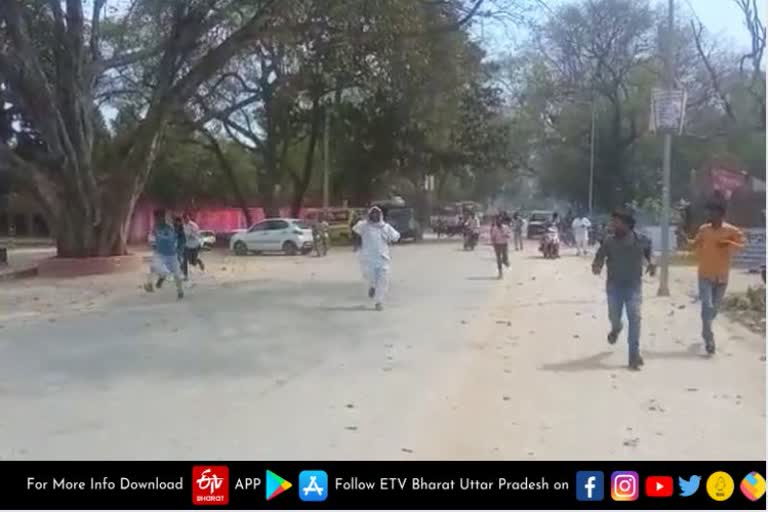 Bee attack on polling station