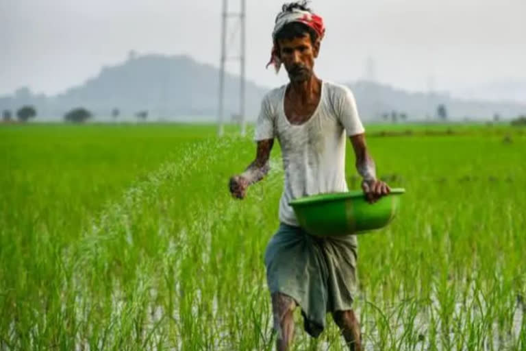 Maha farm loan waiver scheme: 45,000 eligible account holders fail to come forward to claim benefit