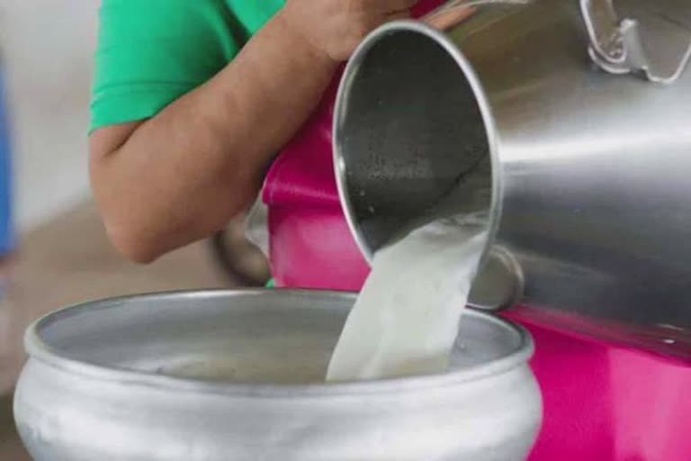 Milk price risen up:રાજકોટના છૂટક દૂધના વેપારીઓ પણ ભાવમાં પ્રતિ લિટરે રૂપિયા 5નો ભાવ વધારો કર્યો