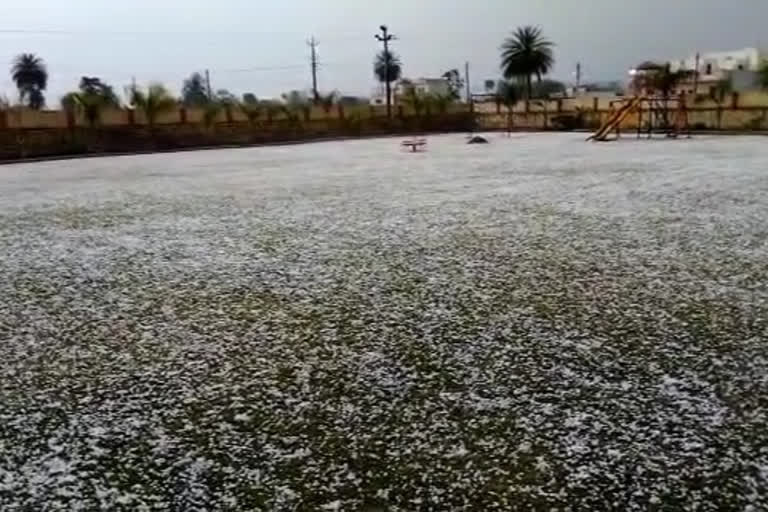 Hailstorm in several parts of Rajasthan