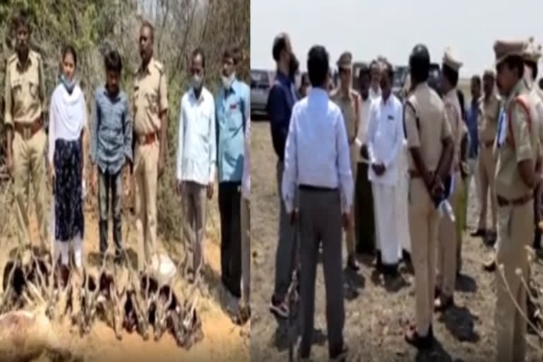 trial in deer killing case in Kurnool district