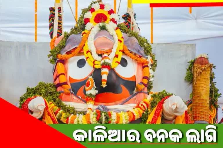 banakalagi ritual of lord jagannath